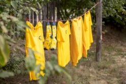 Easy Camp Palmdale 600 Tunneltent - 6 Persoons -Outdoor Camping Winkel 1267 1900 waslijn 1