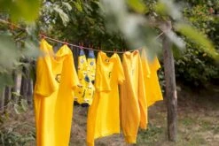 Easy Camp Edendale 600 Tunneltent 6 Persoons - Grijs -Outdoor Camping Winkel 1267 1900 waslijn 1 1